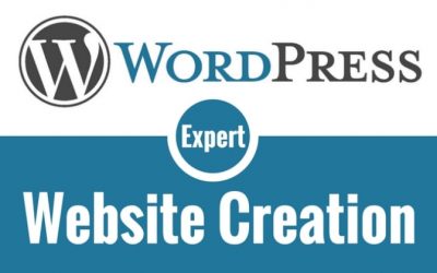 Mind-blowing Data In Relation To WordPress Just For You